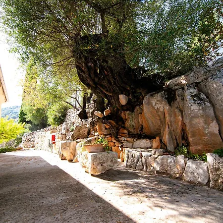 Kounouvato Villa *